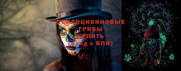 не бодяженный Кукмор