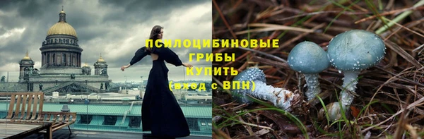 не бодяженный Кукмор