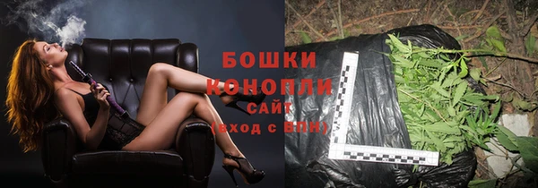 молекула духа Краснослободск